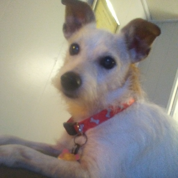 Meet your Posher, Jackie - Picture 2 of 2